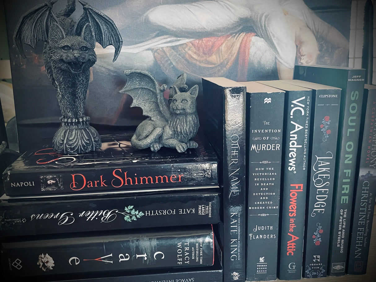 Dark Classics Bundle: Receive a mix of Dark Romance / Dark Fantasy paperback classics + bookish merch delivered to your door! Subscribe & Save Dark Romance Crates