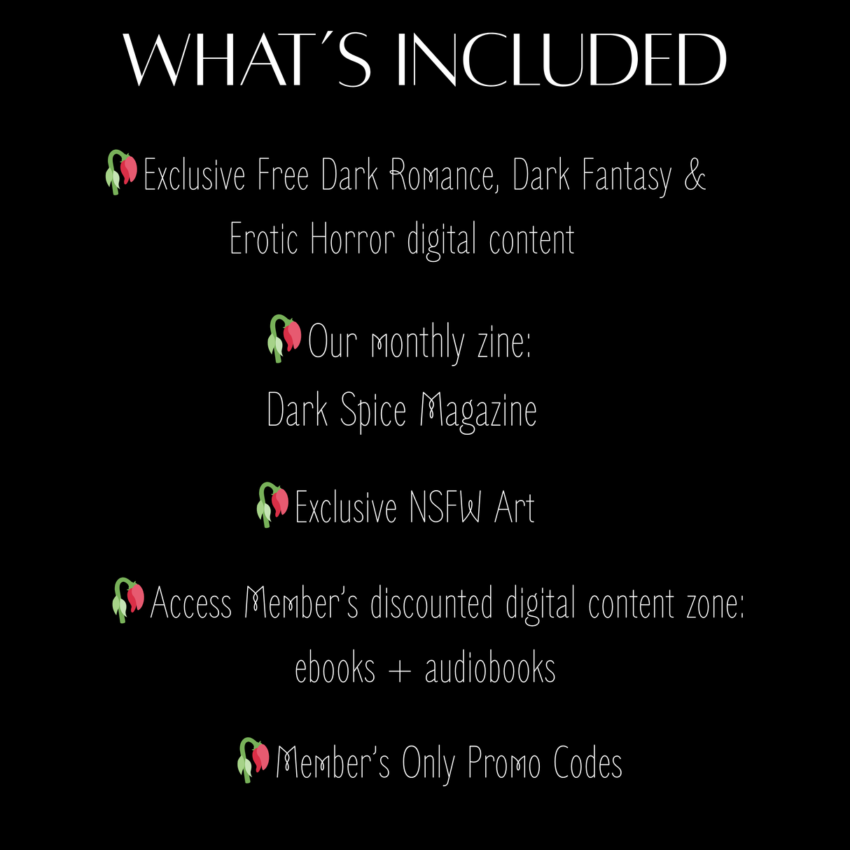 Digital Book Box: ebooks, audiobooks, serials, monthly magazine, NSFW art & more... See details